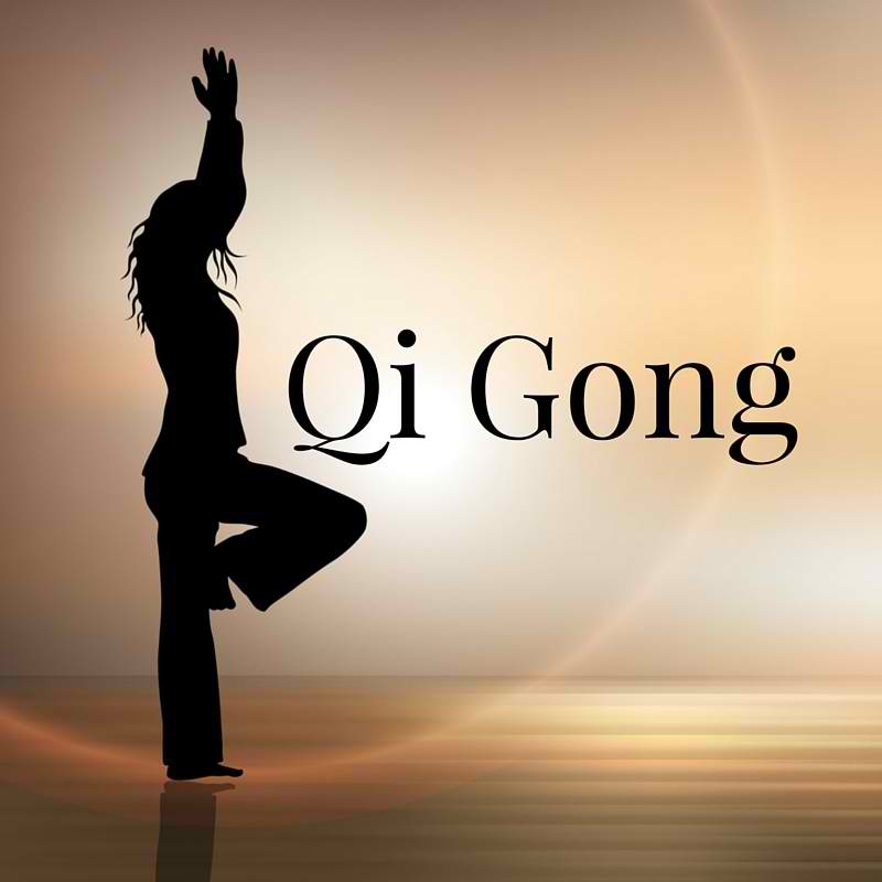 SHUKOKAI (QI GONG)