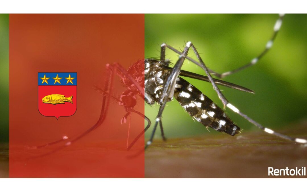 RÉUNION PUBLIQUE – LUTTE ANTI MOUSTIQUES