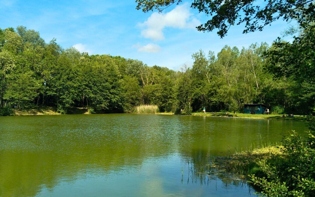 CONCOURS DE PÊCHE ENFANTS